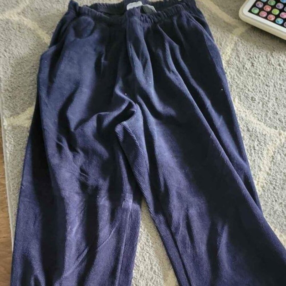 Womens size Medium Blue Pants